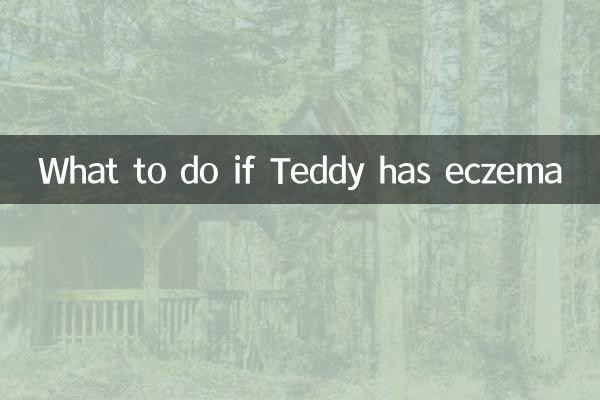 テディに湿疹ができた場合の対処法