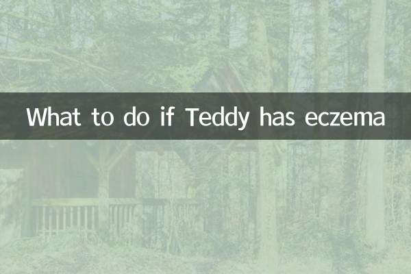 テディに湿疹ができた場合の対処法