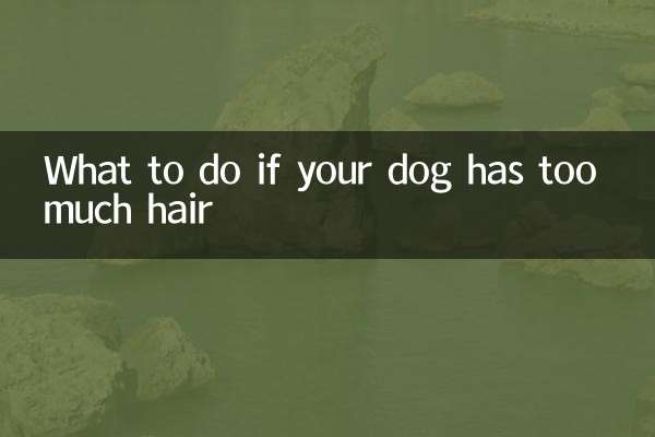 강아지의 털이 너무 많으면 어떻게 해야 할까요?