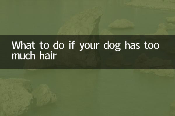 강아지의 털이 너무 많으면 어떻게 해야 할까요?