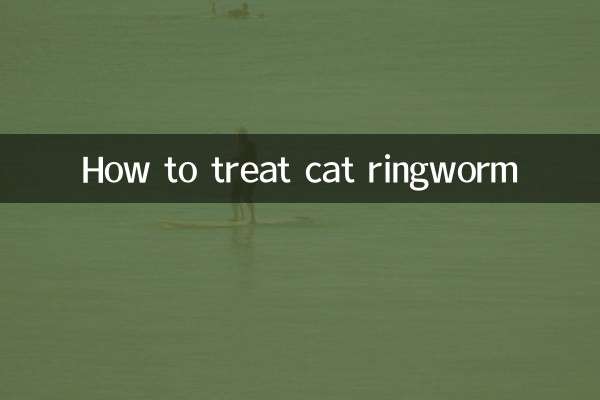 고양이 백선을 치료하는 방법