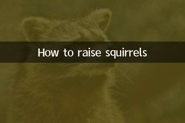 কিভাবে কাঠবিড়ালি বাড়াতে