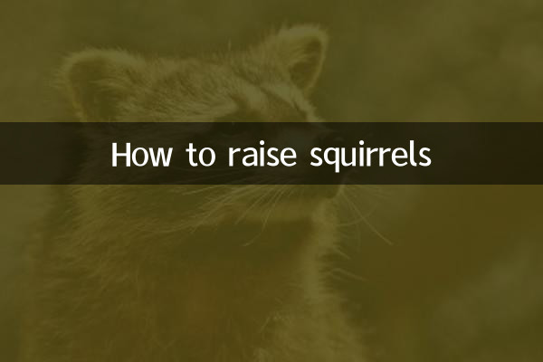 কিভাবে কাঠবিড়ালি বাড়াতে