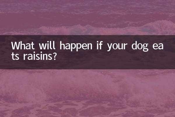 Was passiert, wenn Ihr Hund Rosinen frisst?