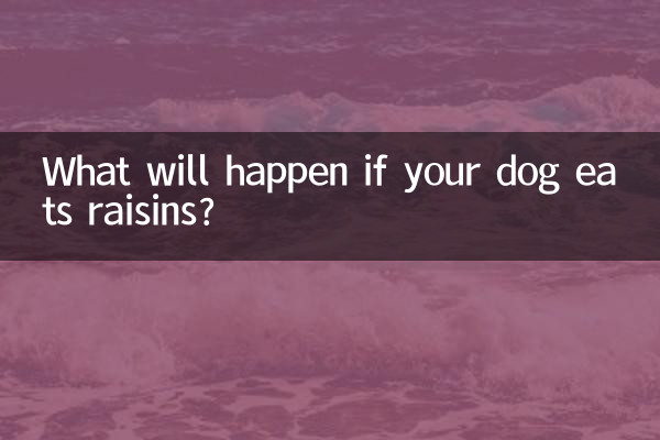 ¿Qué pasará si tu perro come pasas?