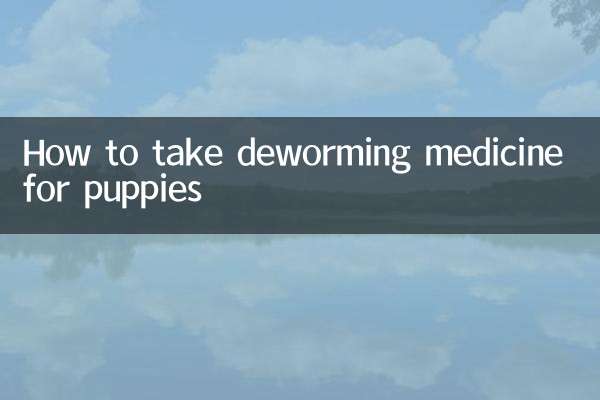 강아지 구충제 복용방법