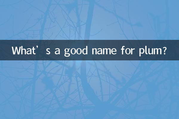 梅にぴったりの名前は何ですか?