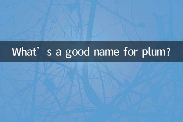 梅にぴったりの名前は何ですか？