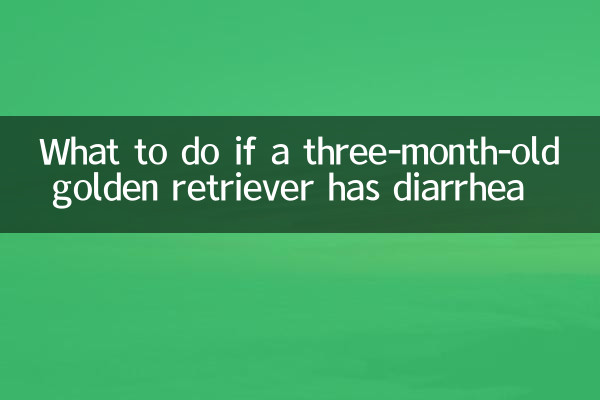 अगर तीन महीने के गोल्डन रिट्रीवर को दस्त हो तो क्या करें