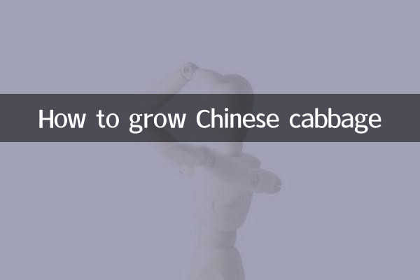 چینی گوبھی کو کیسے اگائیں