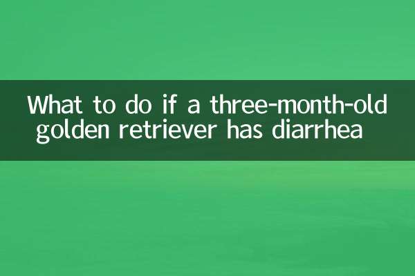 अगर तीन महीने के गोल्डन रिट्रीवर को दस्त हो तो क्या करें