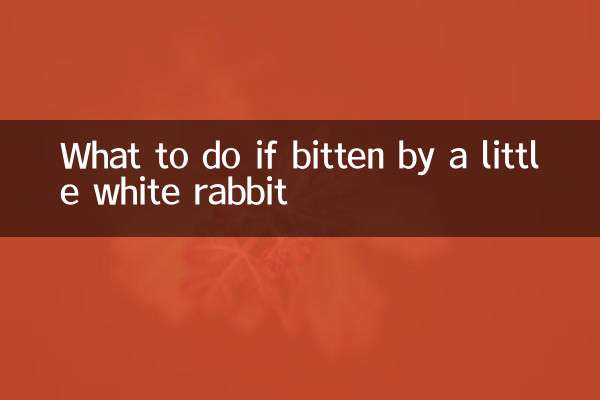 اگر یک خرگوش سفید کوچک گاز گرفت چه باید کرد؟