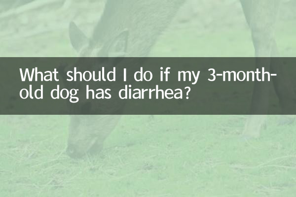 生後3か月の犬が下痢をした場合はどうすればよいですか?
