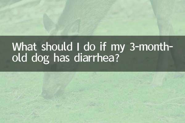 生後3か月の犬が下痢をした場合はどうすればよいですか?