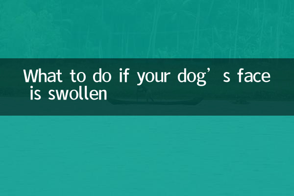 আপনার কুকুরের মুখ ফুলে গেলে কী করবেন