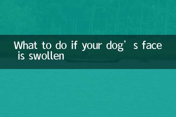 What to do if your dog’s face is swollen