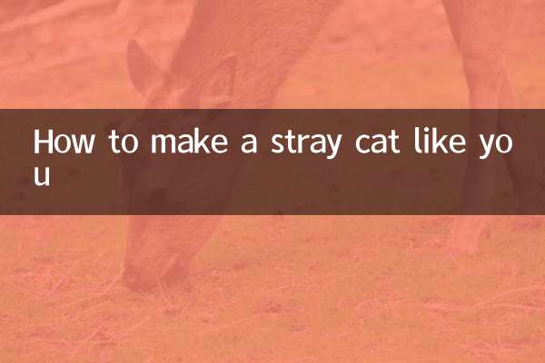 एक आवारा बिल्ली को अपने जैसा कैसे बनाएं?