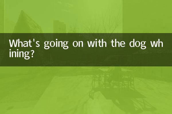 چه خبر است که سگ ناله می کند؟