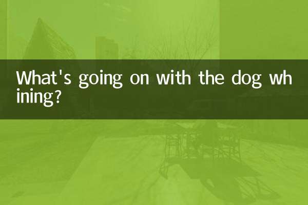 কুকুরের কান্নার সাথে কি হচ্ছে?