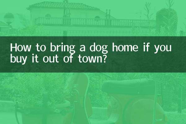 Como levar um cachorro para casa se você comprá-lo fora da cidade?