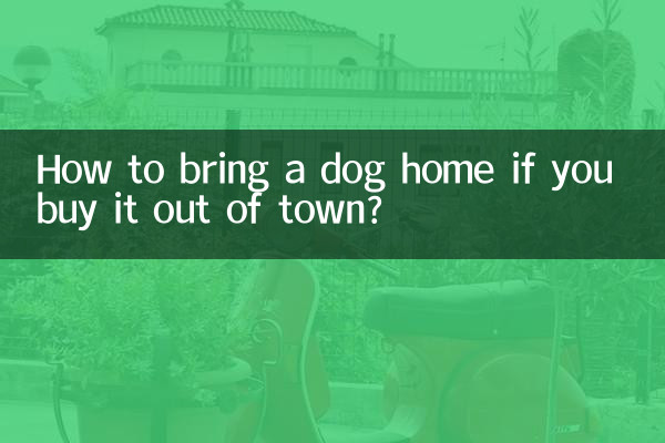كيفية إحضار كلب إلى المنزل إذا اشتريته خارج المدينة؟
