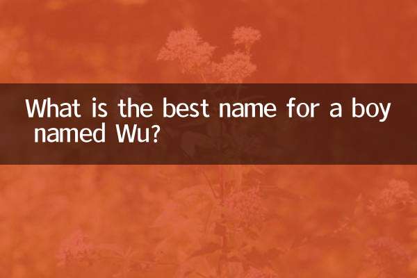 ¿Cuál es el mejor nombre para un niño llamado Wu?