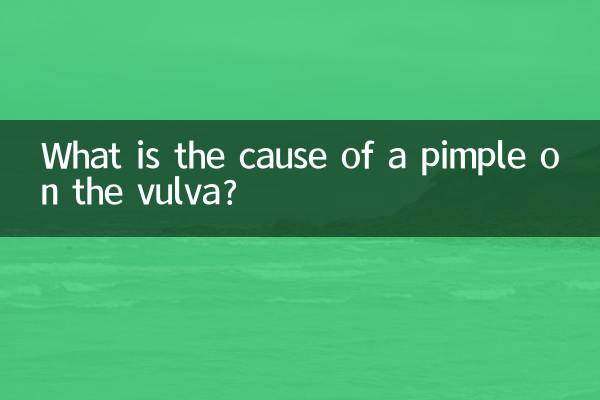 What is the cause of a pimple on the vulva?