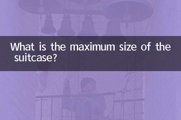 여행가방의 최대 크기는 얼마입니까?