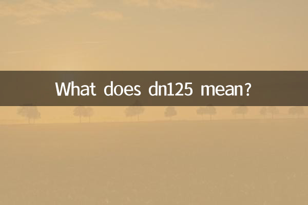 dn125是什么意思