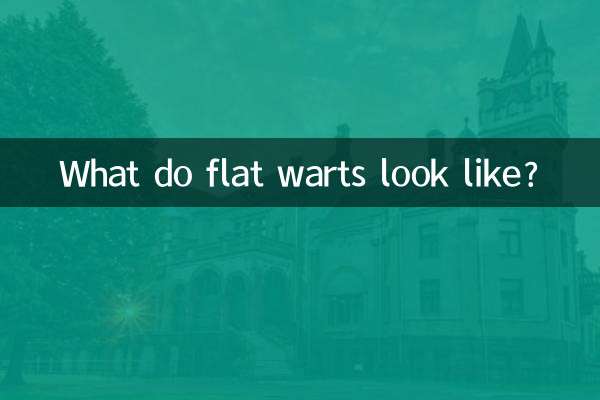 ফ্ল্যাট ওয়ার্টস দেখতে কেমন?