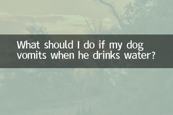 犬が水を飲んだときに嘔吐した場合はどうすればよいですか?