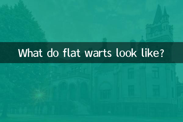 ফ্ল্যাট ওয়ার্টস দেখতে কেমন?