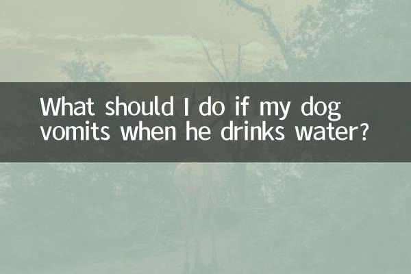 犬が水を飲んだときに嘔吐した場合はどうすればよいですか?