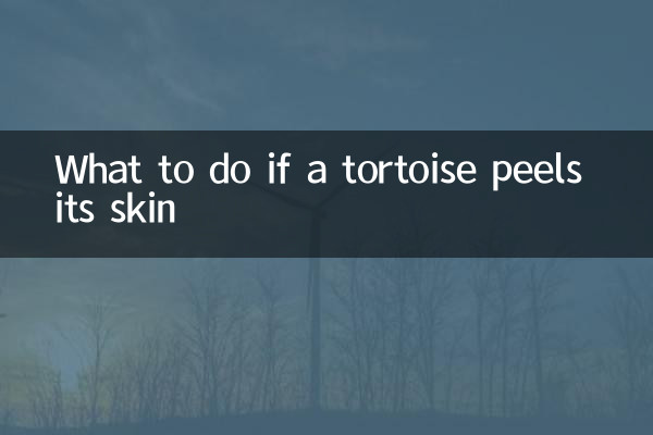 草龜脫皮怎麼辦