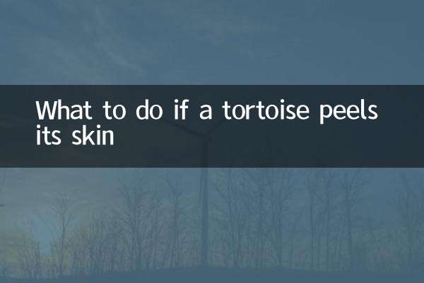 亀が皮を剥いたらどうするか