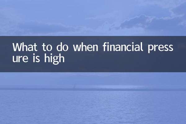 আর্থিক চাপ বেশি হলে কী করবেন