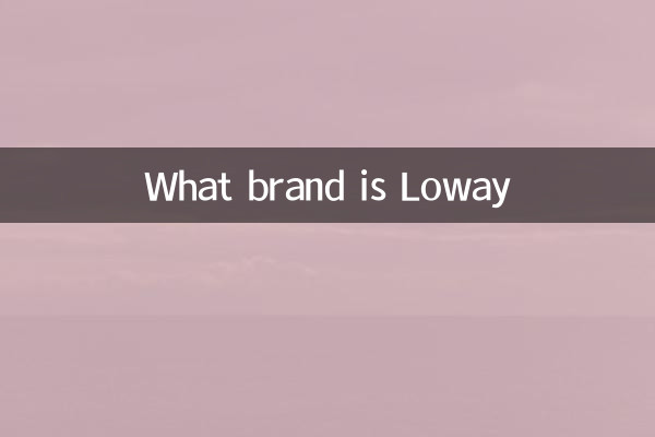 What brand is Loway
