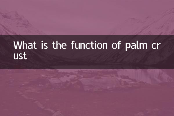 What is the function of palm crust