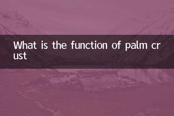 What is the function of palm crust