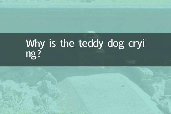 ¿Por qué llora el perrito de peluche?