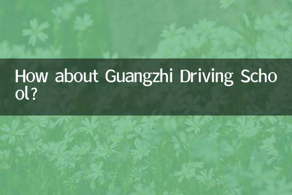 How about Guangzhi Driving School?