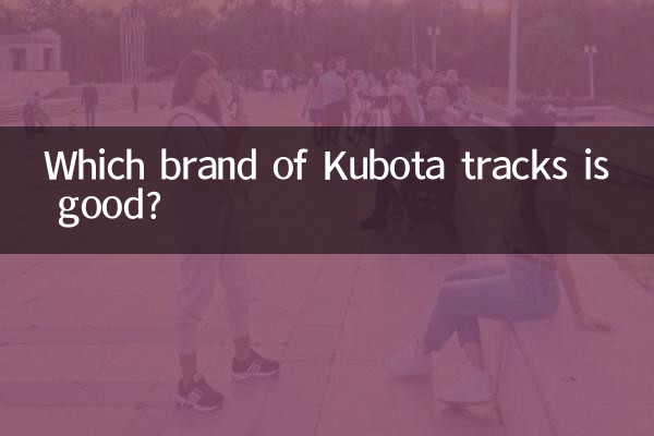 Welche Marke von Kubota-Raupen ist gut?