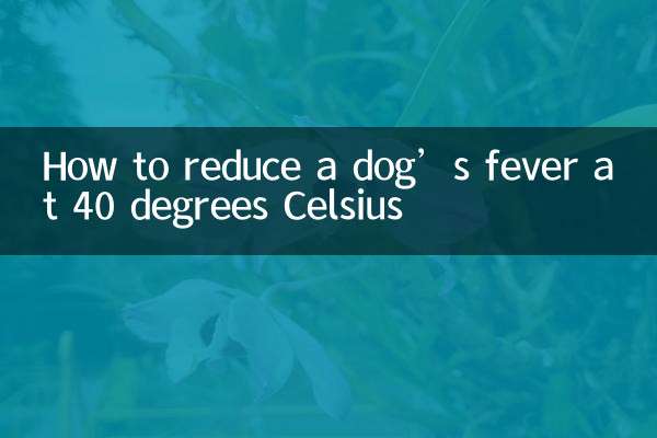 Comment réduire la fièvre d'un chien à 40 degrés Celsius