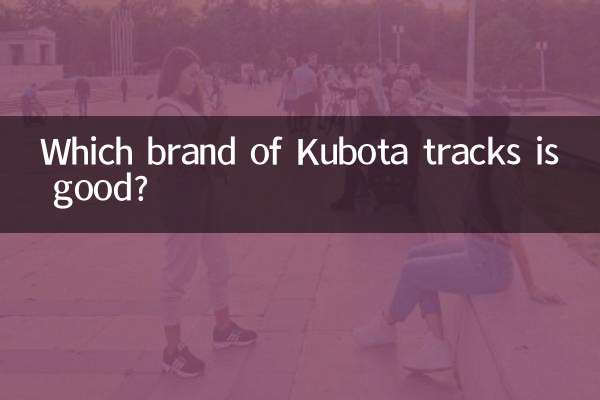 Welche Marke von Kubota-Raupen ist gut?