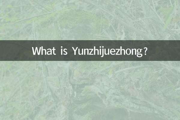 یونزجیوزونگ کیا ہے؟