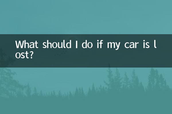 車子丟了怎麼辦