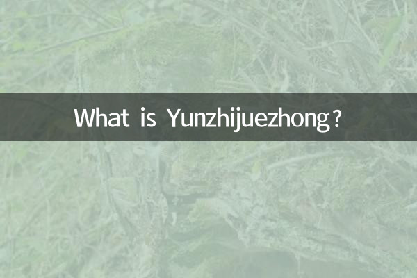 یونزجیوزونگ کیا ہے؟