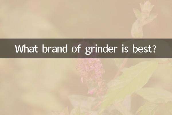 ¿Qué marca de molinillo es mejor?