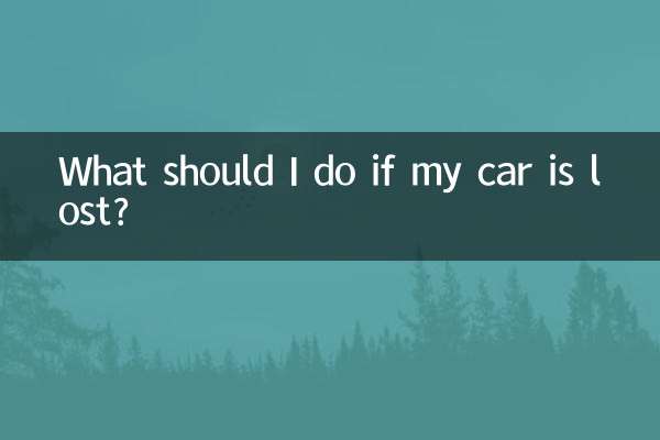 차를 분실한 경우 어떻게 해야 합니까?
