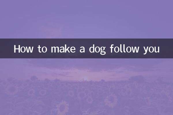 कुत्ते को अपने पीछे कैसे ले जाएं